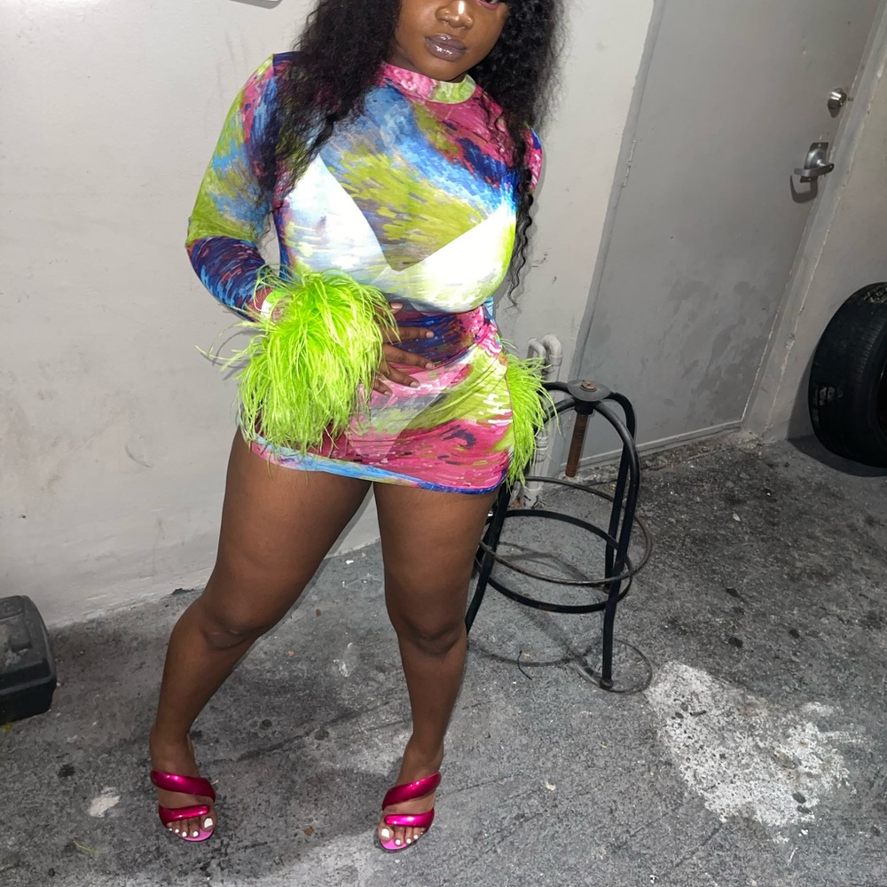 SOLD❤️ ..MESH DRESS WITH FEATHER SLEEVES